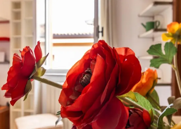 Monolivi 35 - Affitti Brevi Italia 公寓 摩德纳