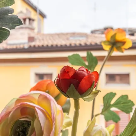 Appartamento Monolivi 35 - Affitti Brevi Italia *